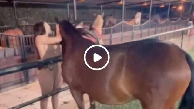 Aida Victoria Merlano Horse Porn video – Viral