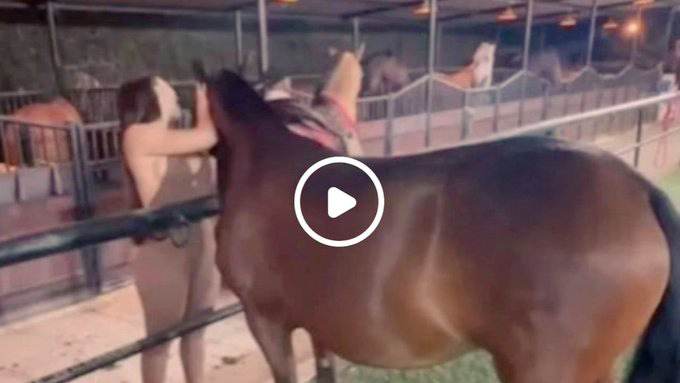 Aida Victoria Merlano Horse Porn video – Viral